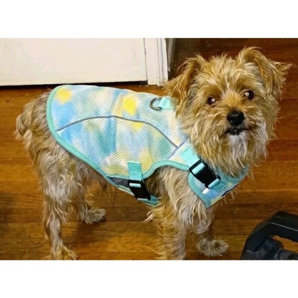 Kuoser Reflective Mesh Soft/Vest Dog Harness, Adjustable, Size M, Blue/Yellow